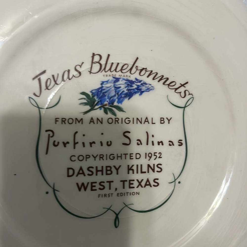 Texas Bluebonnets by Purfirio Salinas 1952 Dashby Kilns West, Texas 1st Edition - Picture 7 of 7
